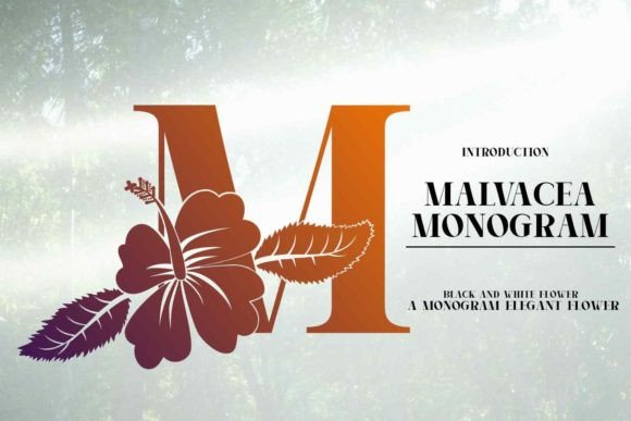 Malvacea: A Font for Crafts, Brands, and Beautiful Details